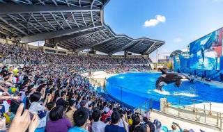 上海迪士尼各种票介绍 上海迪斯尼票价