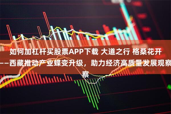 如何加杠杆买股票APP下载 大道之行 格桑花开——西藏推动产业蝶变升级，助力经济高质量发展观察