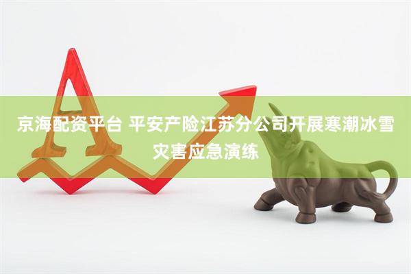 京海配资平台 平安产险江苏分公司开展寒潮冰雪灾害应急演练