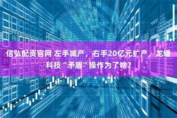 信弘配资官网 左手减产，右手20亿元扩产，龙蟠科技“矛盾”操作为了啥？